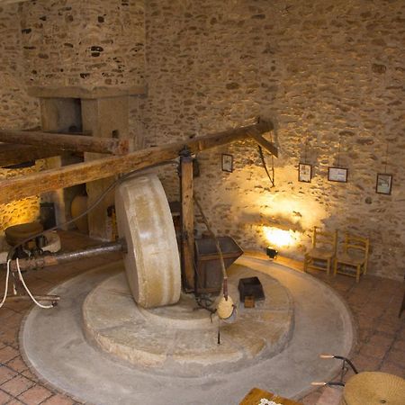 Отель Lo Moli De Rosquilles Masdenverge Экстерьер фото